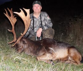 Bakers free range fallow buck