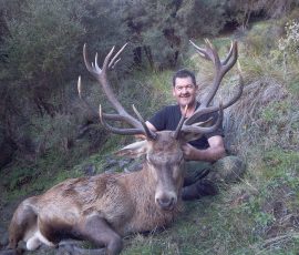 Red Stag Trophy