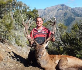 Fudds mountain top trophy red stag