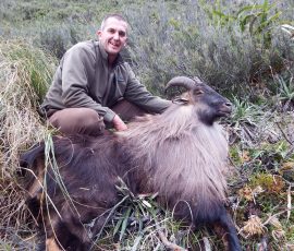 Greg with big old bull tahr
