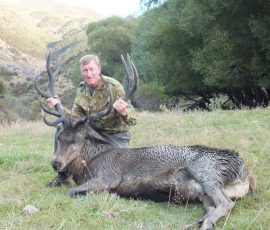 Marks free range 12pt red stag